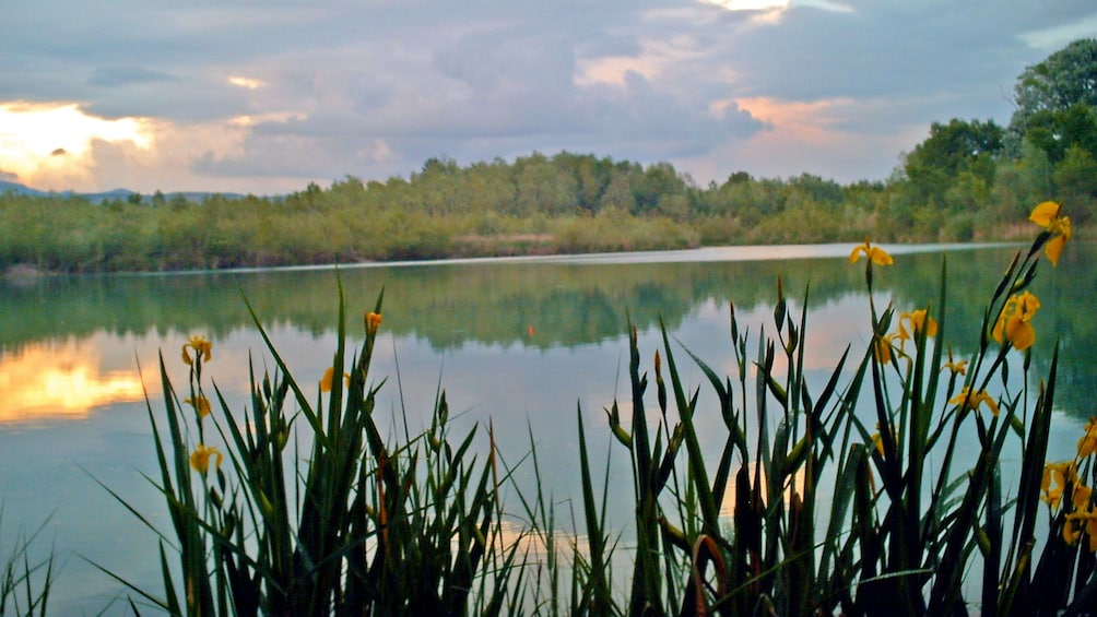 Fishing waters in Provence France