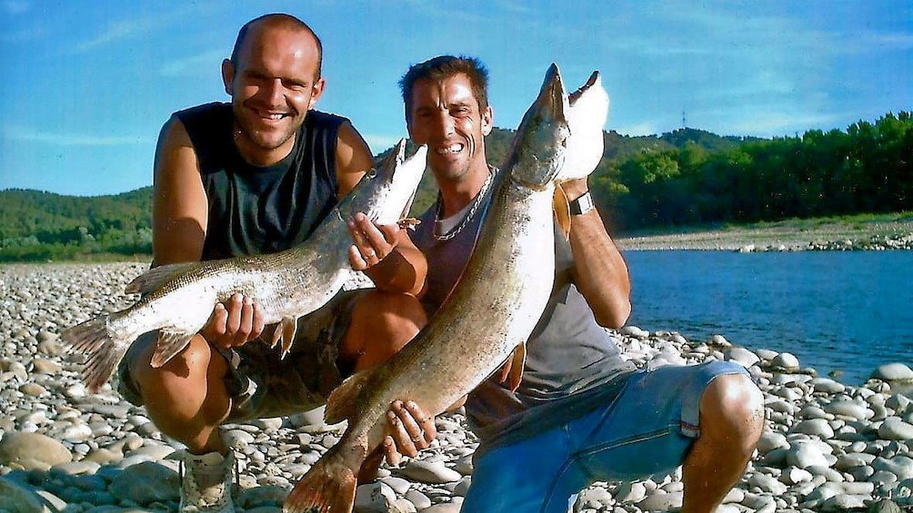 Caught fishes in Provence France