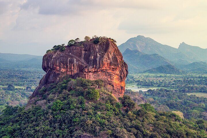 Sigiriya Rock and Wild Elephant Safari from Polonnaruwa