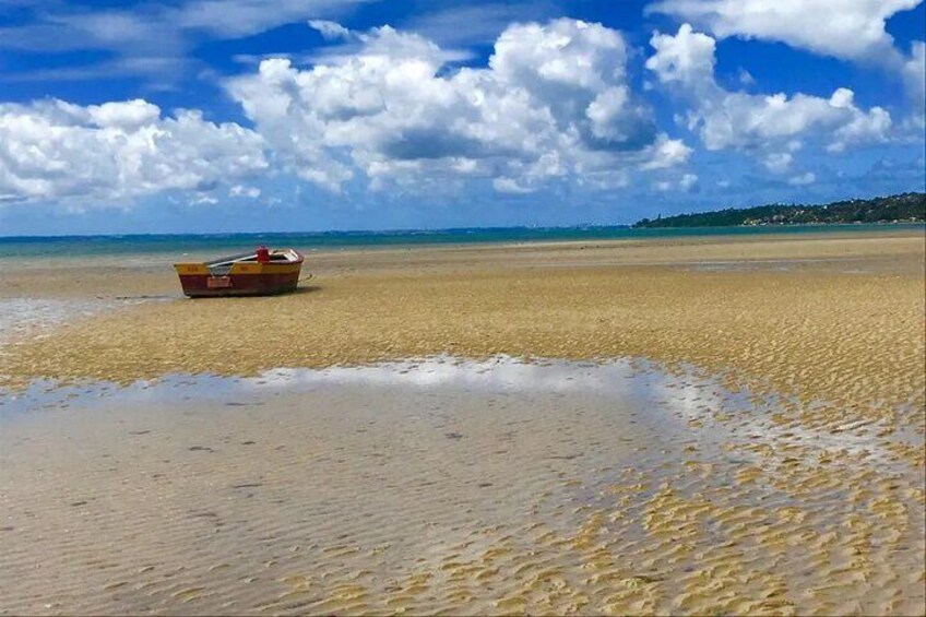 Sun, Sea and Magic: Ilha dos Frades and Itaparica - Departure from Salvador