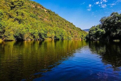 Douro Valley Tour - A Delicious And Breathtaking Experience - All Included
