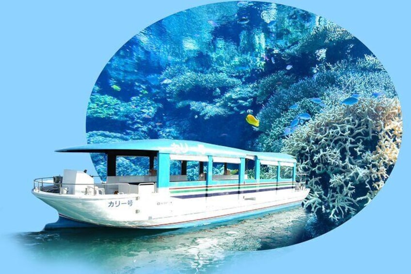 Okinawa Hip-hop Bus B Course Tour (Okinawa Churaumi Aquarium)