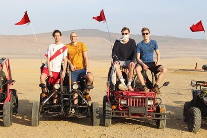 Buggy Tour Paracas National Reserve