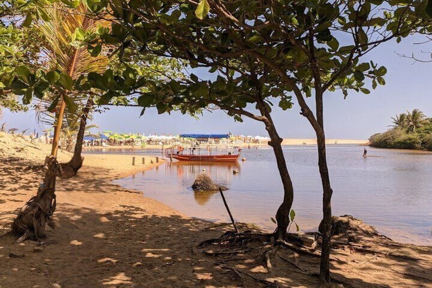 Coastal Wonders: Itacimirim and Imbassaí