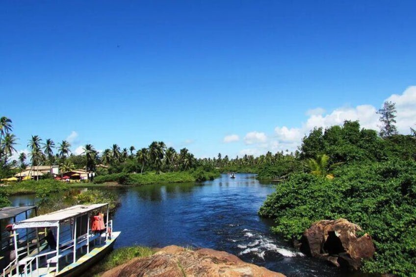 Coastal Wonders - Leaving Salvador
