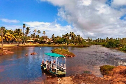 Coastal Wonders: Itacimirim and Imbassaí