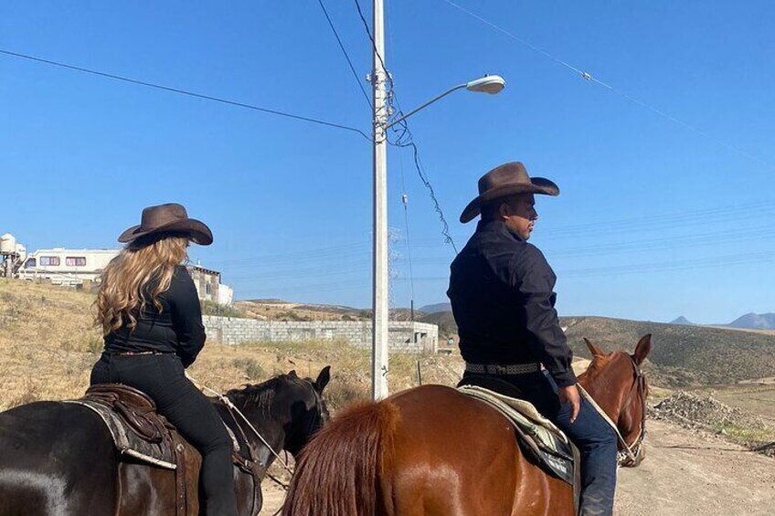 Tour horses mountains of rosarito and zip line 