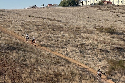 Tour horses mountains of rosarito and zip line