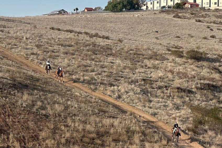 Tour horses mountains of rosarito and zip line 