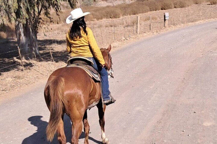 Tour horses mountains of rosarito and zip line 