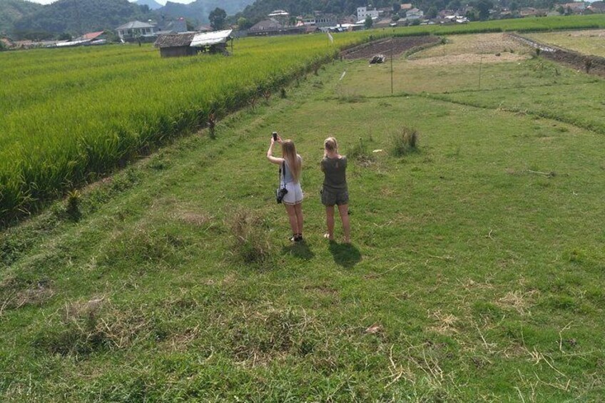 Paddy's Field