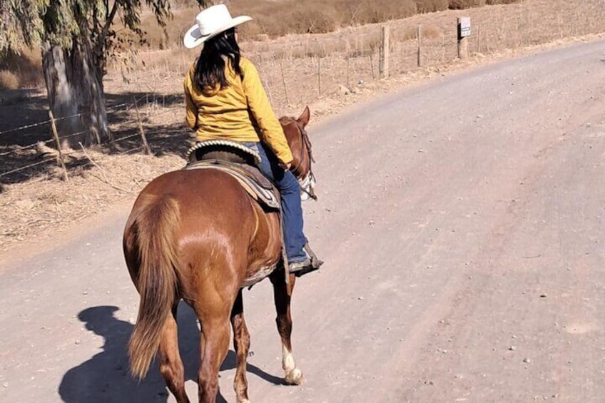 Horseback riding tour mountains & rosarito 