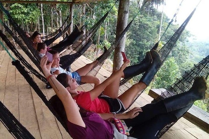 Excursion to La Selva - Amazonia | Indichuris Community | One day