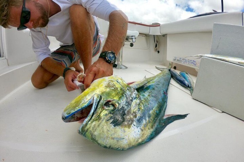 Fishing Trips in Barbados onboard Nauti Dreams Luxury Charters