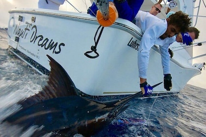 Fishing Trips in Barbados onboard Nauti Dreams Luxury Charters