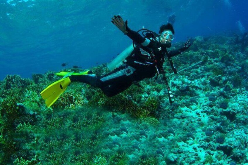 Buceo