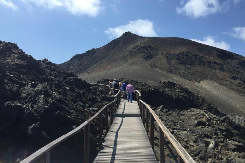 Tour to Bartolome Island + Bahia Sulivan