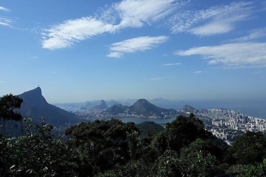 Panoramic Delta Wing Flight + Tijuca Forest - 6 hours Tour