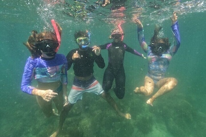 Snorkelling Tour on Macuco Island With Underwater Photos by Zimbros Ecotour