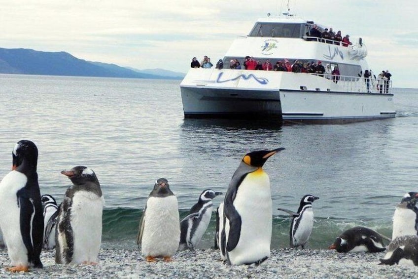 Navigation Channel Beagle Pinguinera