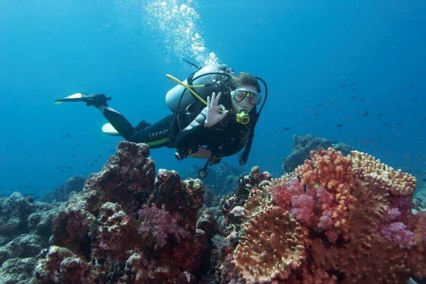 Diving Antalya Kemer