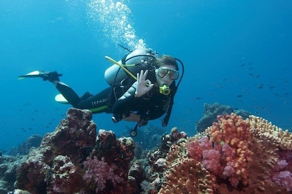 Diving Antalya Kemer