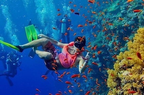 Zanzibar Snorkelling with Lunch