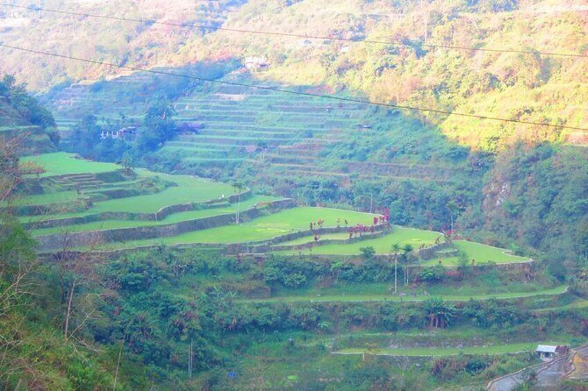 Banaue-Cambulo-Batad-Bangaan RICE TERRACES TOUR From Manila