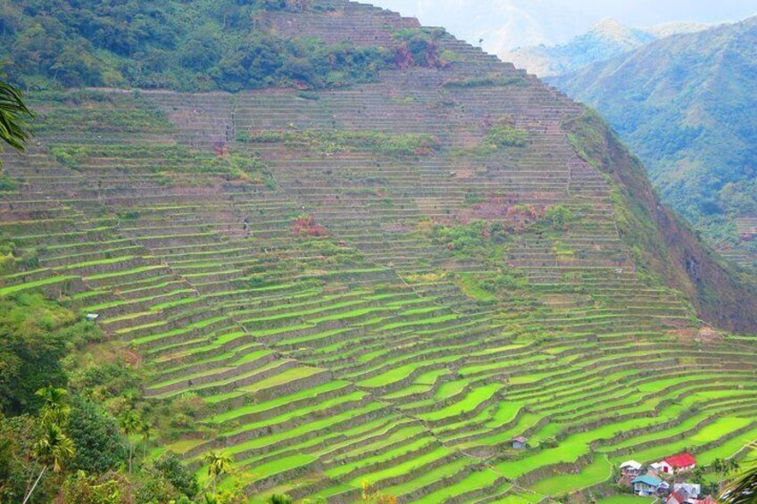 7 days Banaue-Sagada Adventure from Manila***