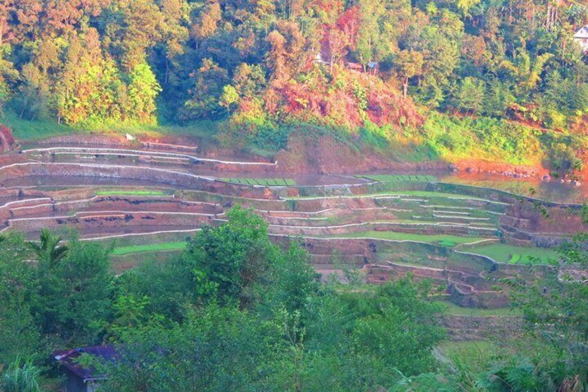 Banaue-Cambulo-Batad-Bangaan RICE TERRACES TOUR From Manila