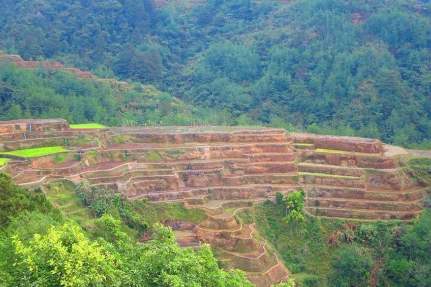Banaue-Cambulo-Batad-Bangaan RICE TERRACES TOUR From Manila