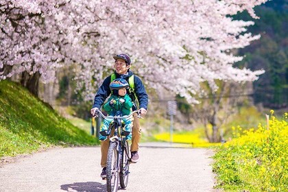 BTF Rural Japan "FURUSATO" Cherry Blossom Cycling Tour