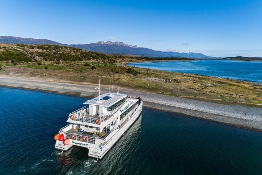 Canoero Catamarans: Isla de los Lobos, Les Eclaireurs Lighthouse and Pingüinera tour