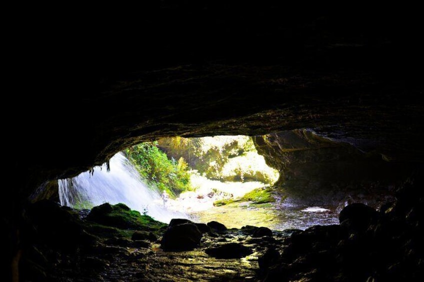 Angel Falls and Cueva de los Guacharos