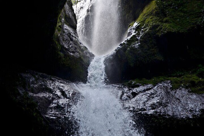 Angel Falls and Cueva de los Guacharos