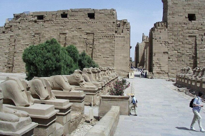 Luxor Over Day (Kings Valley & Hot Air Balloon) - Private Trip - Hurghada
