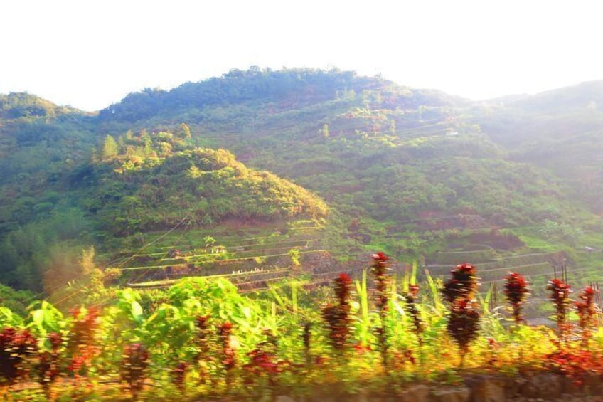 Pula-Cambulo-Batad-Bangaan Rice Terraces + Tappiyah falls from manila