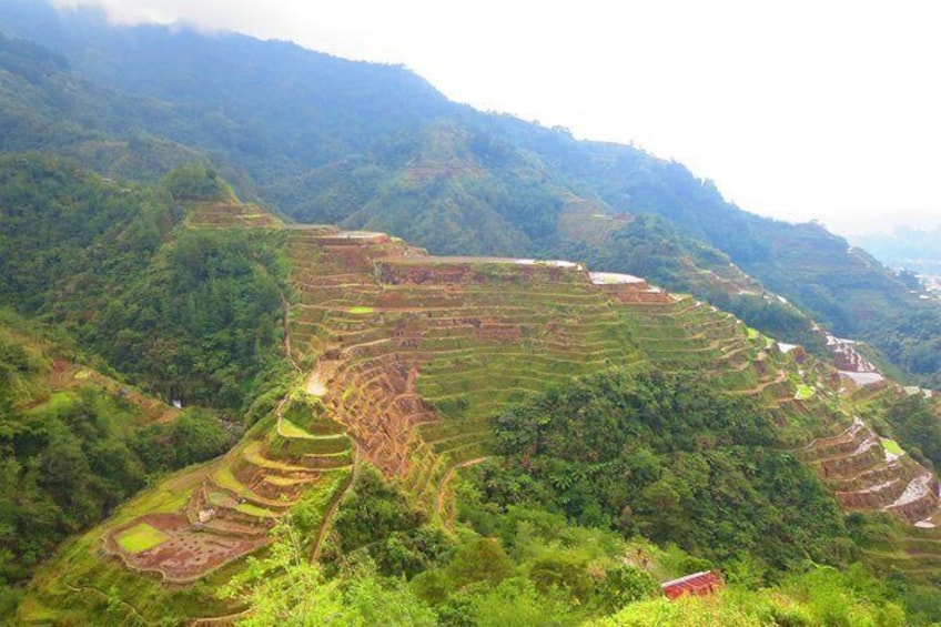 Pula-Cambulo-Batad-Bangaan Rice Terraces + Tappiyah falls from manila