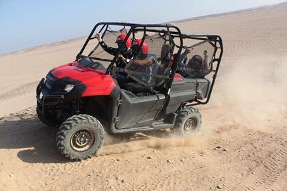 3 Hours Buggy Car Safari With Camel Ride and Transfer - Marsa Alam