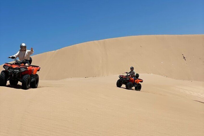 Camel ride or quad bike ride