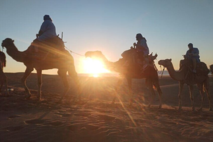 Essaouira Private Camel Ride (1 Hour).