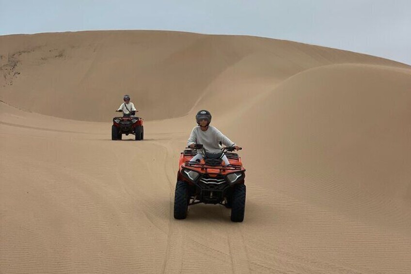 Camel ride or quad bike ride