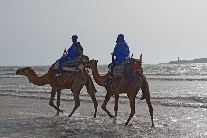 Essaouira Private Camel Ride (1 Hour).