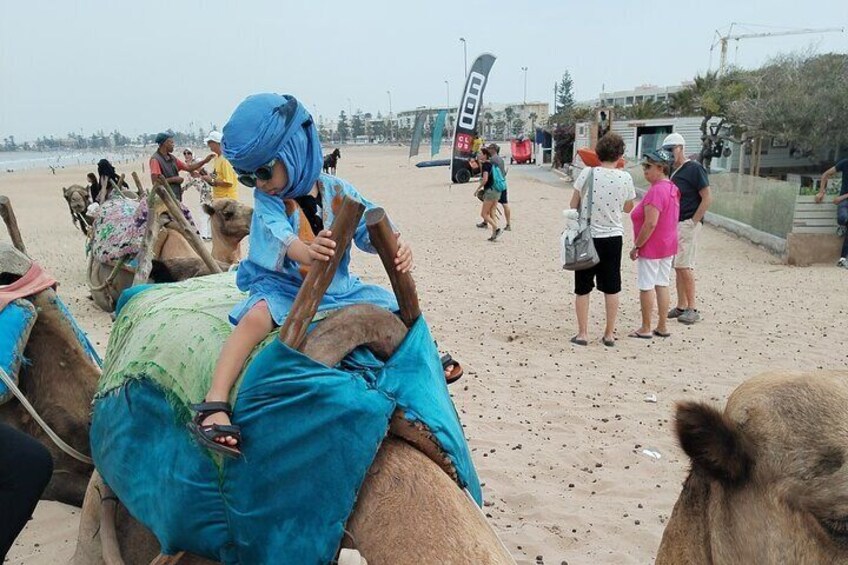 Essaouira Private Camel Ride (1 Hour).