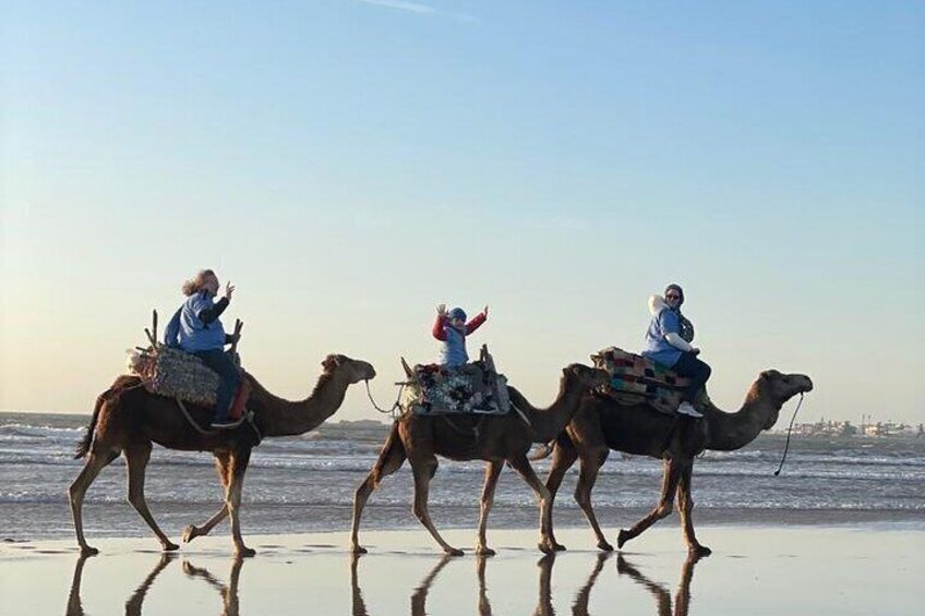 Essaouira Private Camel Ride (1 Hour).