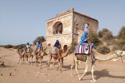 Camel ride or quad bike ride