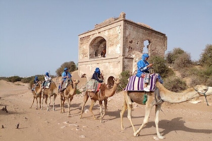 Giro privato in cammello di Essaouira (1 ora).