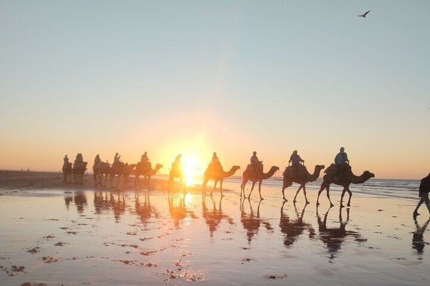 Essaouira Private Camel Ride (1 Hour).