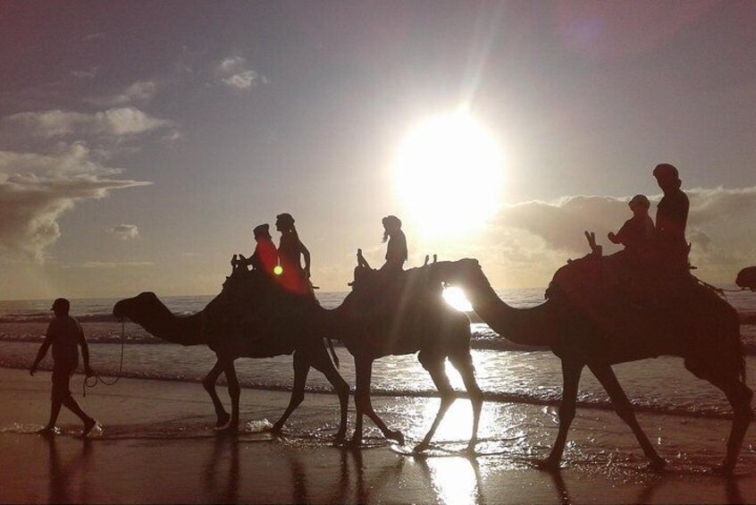 Essaouira: An unforgettable 2 hour ride on a camel
