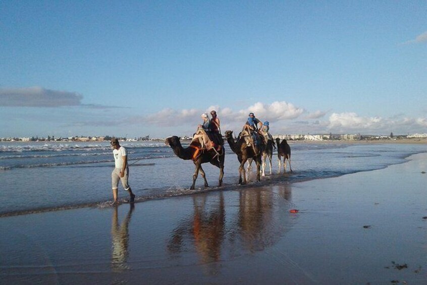 Essaouira: An unforgettable 2 hour ride on a camel